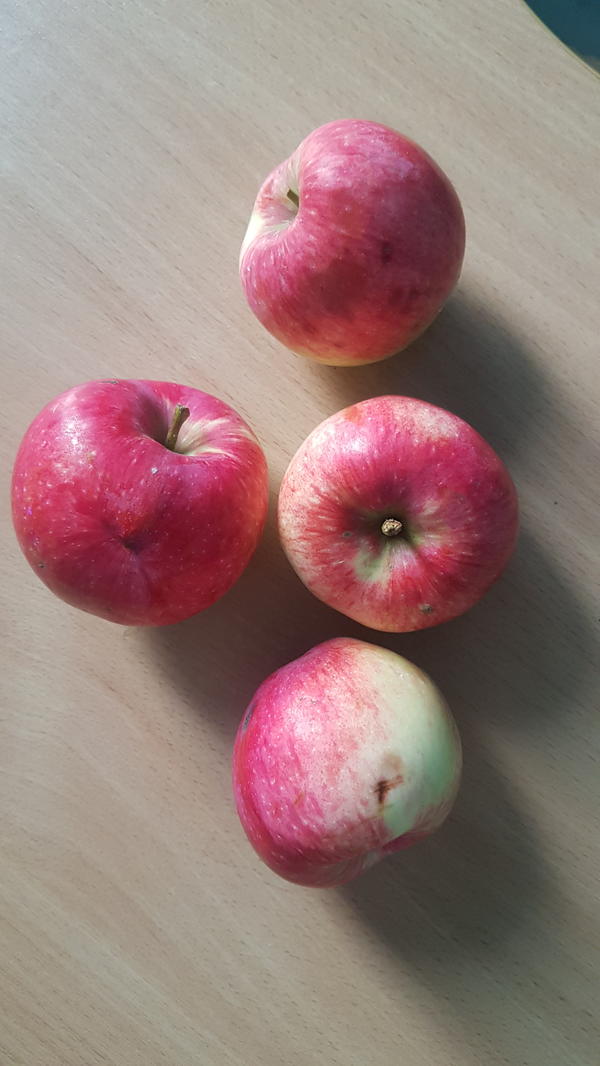 яблоки 1