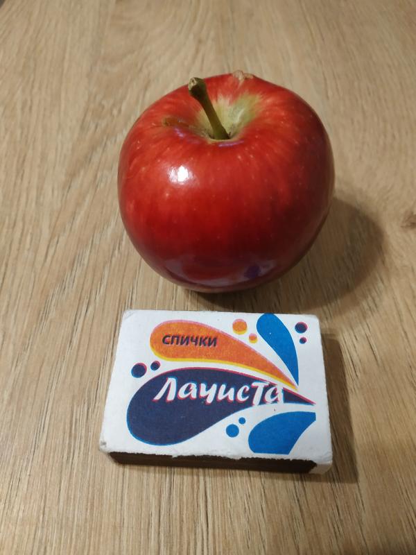 Яблоко Богатырь