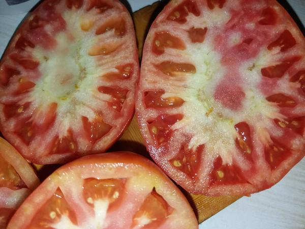 Вот такие томаты, что это такое, никак не растут нормальные. Сорт батяня и сердце бизона