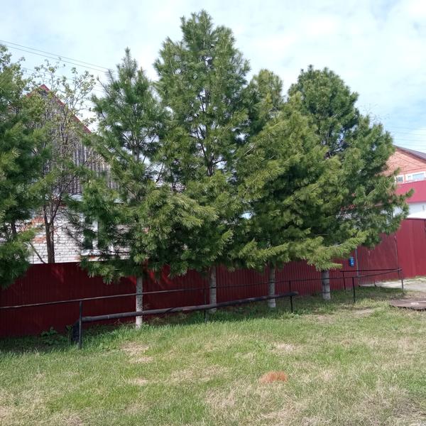 Под угрозой первая (дальняя на снимке)