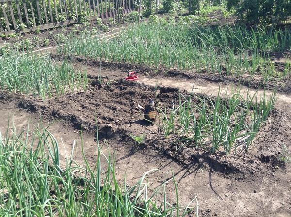 Так начиналось