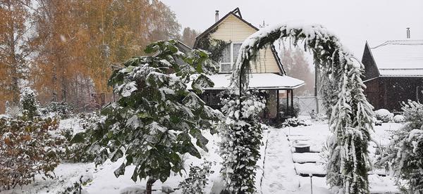 Вид с другой стороны ;)