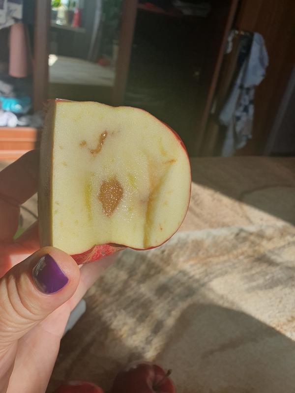 Яблоко в разрезе, что это?