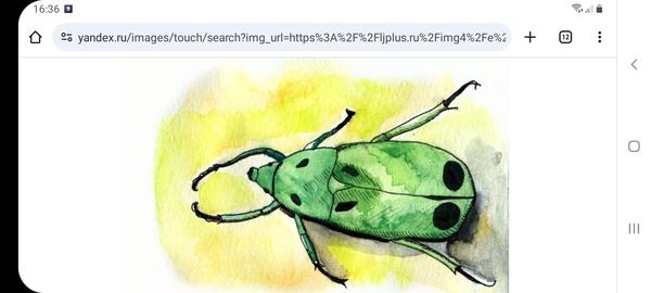Необычный зелёный жук
