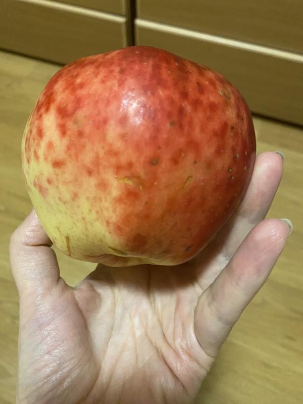 Помогите, пожалуйста, определить сорт яблони.