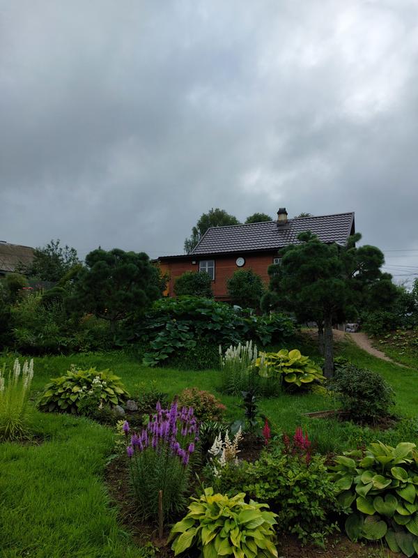 И сегодня ходят тучи. Клумбы делала в прошлом году из своих разросшихся растений