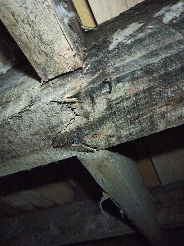 Трещина на этой лаге