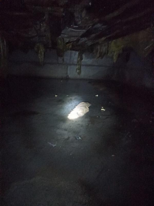 На фотографии видно лужи, мокрый полиэтилен, и гнилые доски которые держат стекалвату.