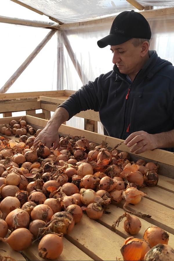 Калибровка лука