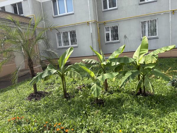 Татарстан