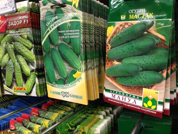 рейтинг производителей семян овощей в россии