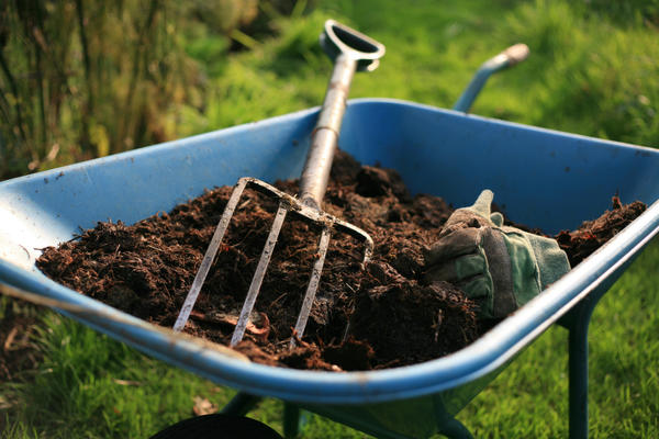 Правильно приготовленный компост поможет почве восстановить жизненные силы и повысить плодородие, улучшит ее структуру