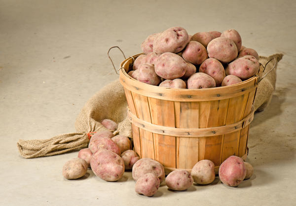 Хранение картофеля: подготовка, условия, способы. Видео