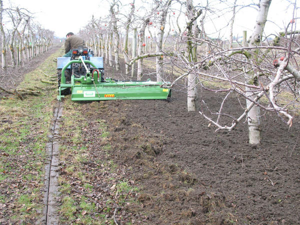 Milling cultivator for inter-row cultivation of gardens.  Photo from the site agro-sistema.ru
