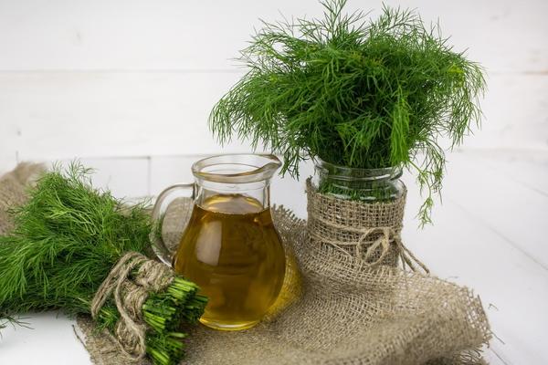 Хороша зелень укропа для сушки!
