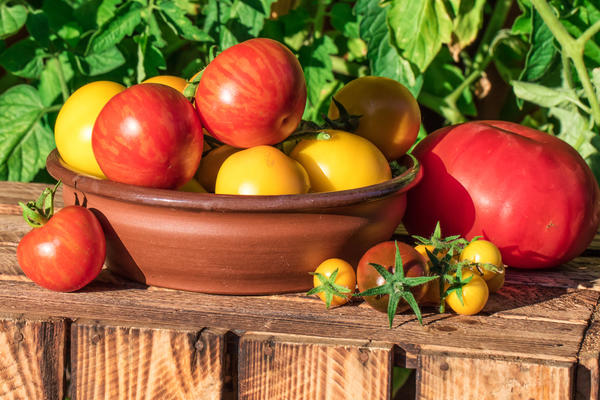 Вкусный или нет плод томата - вопрос далеко не праздный