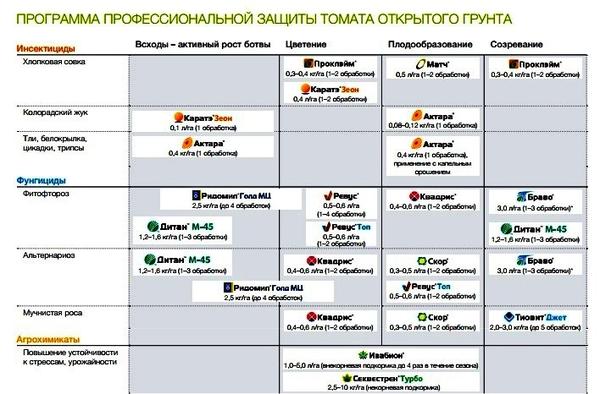 Так рекомендуется защищать томаты в открытом грунте. Фото с сайта syngenta.ru
