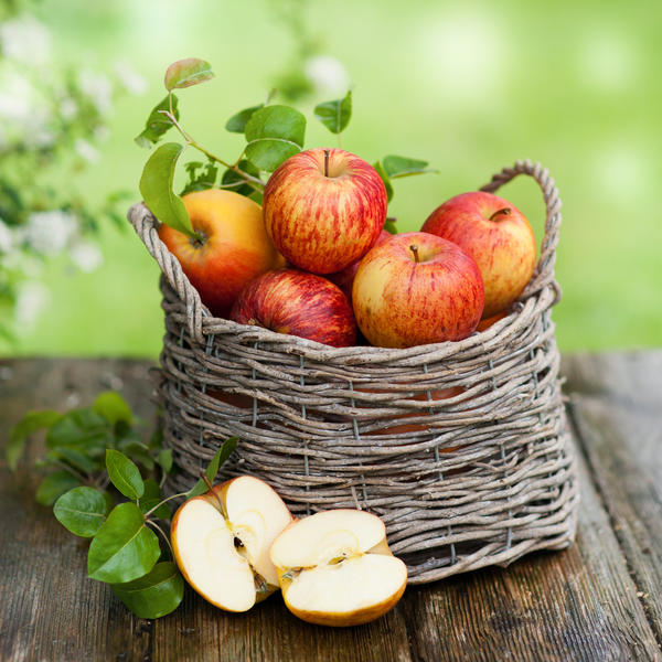 Как справиться с урожаем яблок