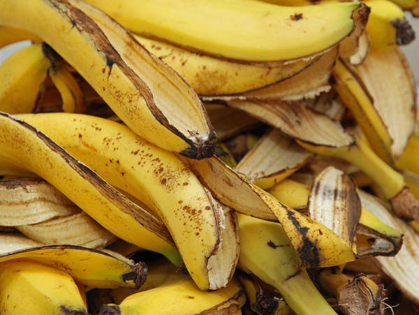 Кожуру банана часто используют для подкормки растений