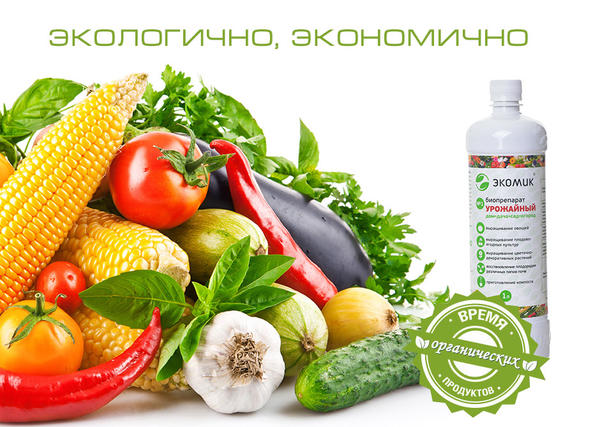 Время органических продуктов настало