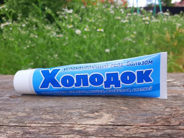 С Холодком нам никакие комары и мошки не страшны! Фото автора