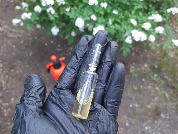 Носик ампулы легко отламывается по белому ободку на горлышке