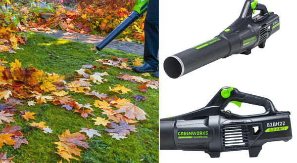 Воздуходув Greenworks GD82ABII. Не машина - зверь! Фото с сайта gw-house.ru