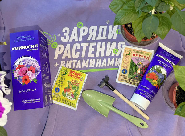 В комплексе с Аминосилом защитное действие Эпина-экстра и Циркона станет еще эффективнее