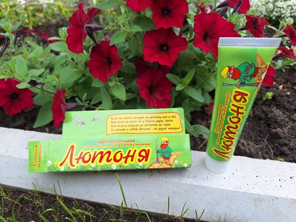 С таким надежным защитником как Лютоня можно не бояться комаров