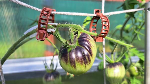 Клипсы работают в паре с Улиткой