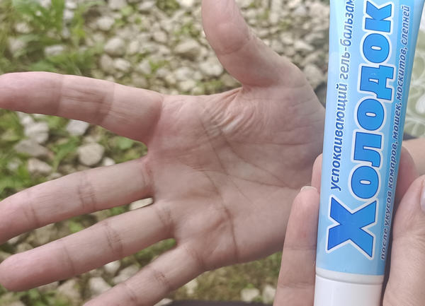 Холодок избавил от боли даже после укуса осы