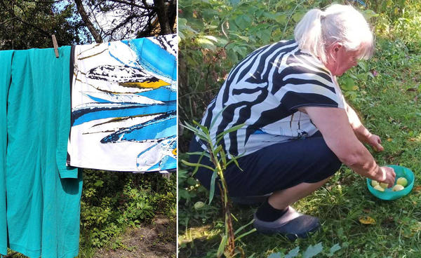 Защита от клещей перед сбором урожая - обязательное условие