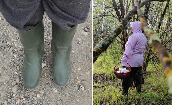 Экипировка для похода в лес