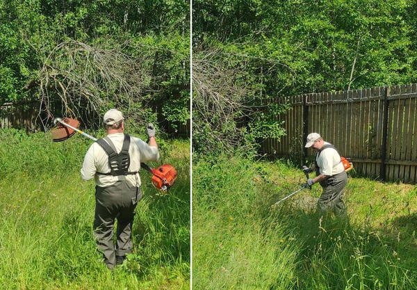 Покос. Трава по пояс