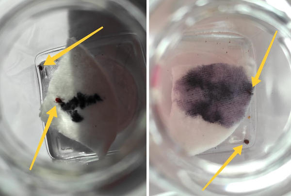 Результат тестирования через 12 часов