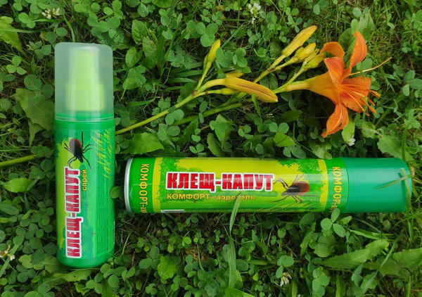 Защита от клещей нужна обязательно, ведь встреча с этими насекомыми реально опасна