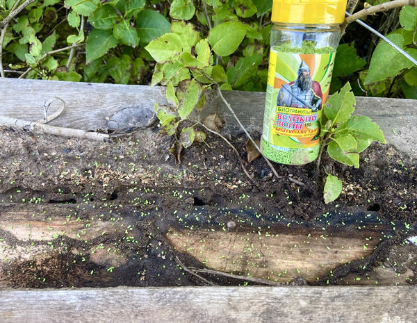 Гранулы действуют очень быстро!