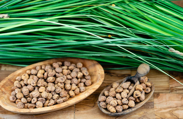 По вкусу орешки чуфы действительно напоминают миндаль