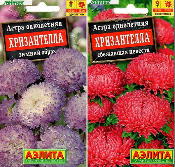 Слева: Winter Look. Справа: Runaway Bride. Фото с сайта ailita-shop.ru