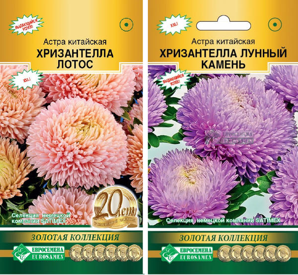 Слева: Лотос. Справа: Лунный камень. Фото с сайта eurosamen.ru