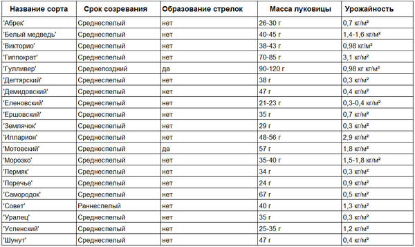Сорта ярового чеснока, зарегистрированные в Госреестре
