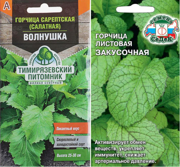 Горчица сарептская. Слева: Волнушка. Фото с сайта domostroy.shop. Справа: Закусочная. Фото с сайта seedsmail.ru
