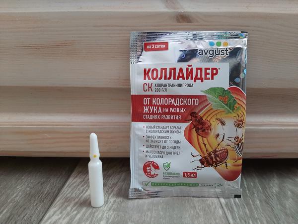 Коллайдер® от колорадского жука эффективен и против взрослых особей, и против личинок, и даже против яйцекладок