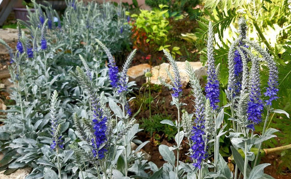 Фото Натальи (Bernata) из Новороссийска