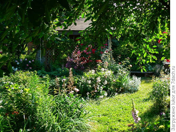 Мой сад - мое место силы