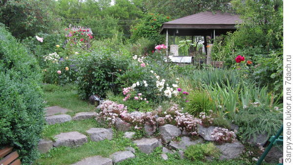 вид из дома