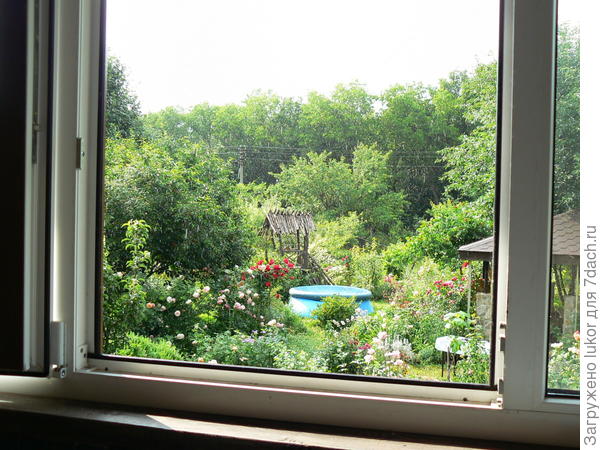 Вид на сад с диванчика на балконе
