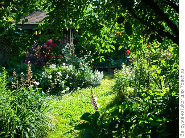 Сад полон тайн и историй