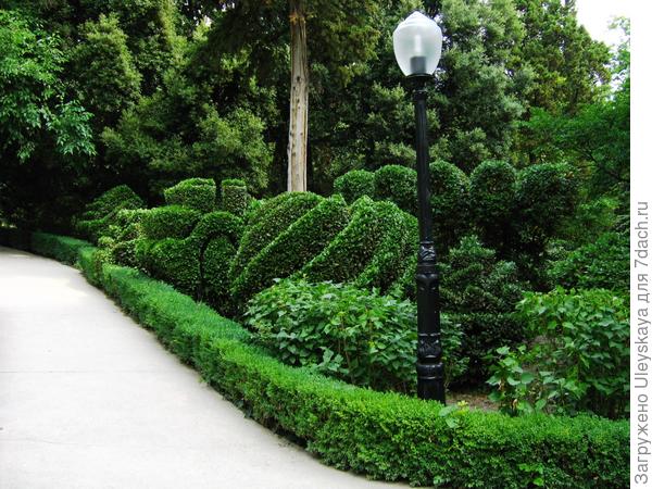 Старинный парк в Гурзуфе (Крым)