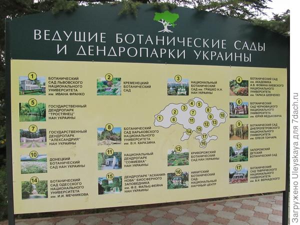 С днем рождения, Украина!